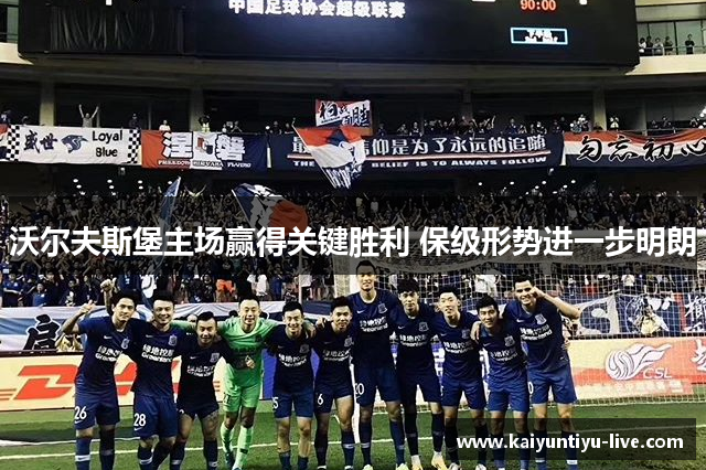 沃尔夫斯堡主场赢得关键胜利 保级形势进一步明朗