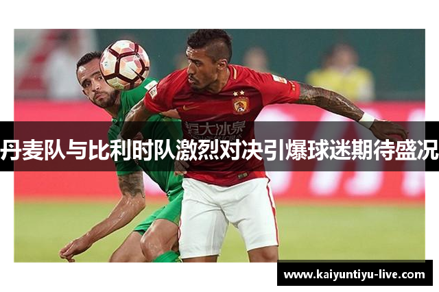 丹麦队与比利时队激烈对决引爆球迷期待盛况