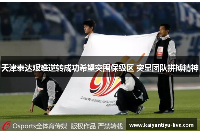 天津泰达艰难逆转成功希望突围保级区 突显团队拼搏精神