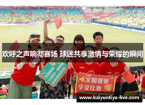 欢呼之声响彻赛场 球迷共享激情与荣耀的瞬间