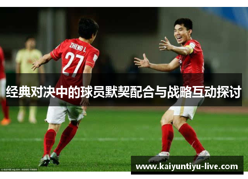 经典对决中的球员默契配合与战略互动探讨