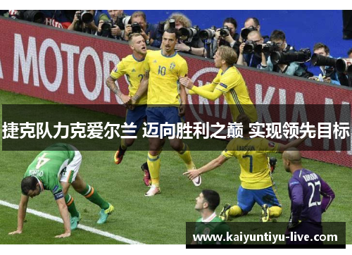捷克队力克爱尔兰 迈向胜利之巅 实现领先目标