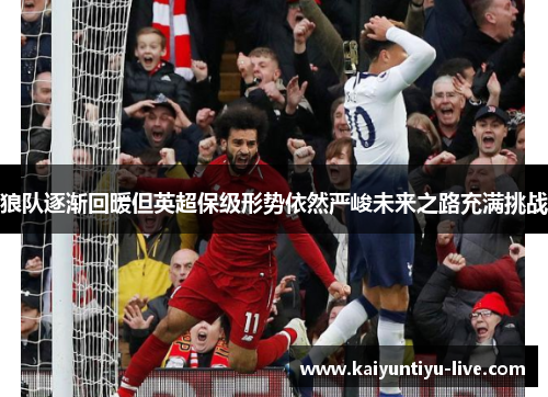狼队逐渐回暖但英超保级形势依然严峻未来之路充满挑战