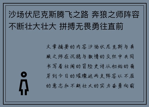沙场伏尼克斯腾飞之路 奔狼之师阵容不断壮大壮大 拼搏无畏勇往直前