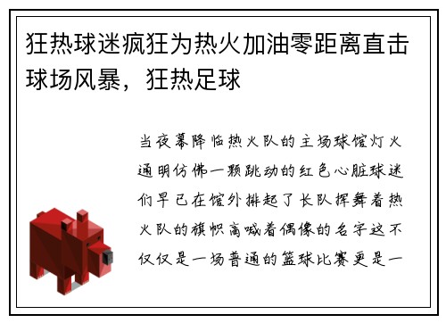 狂热球迷疯狂为热火加油零距离直击球场风暴，狂热足球